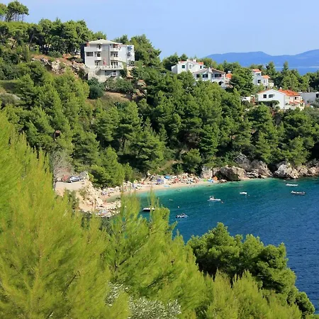 Balica Rat 1065a Tice