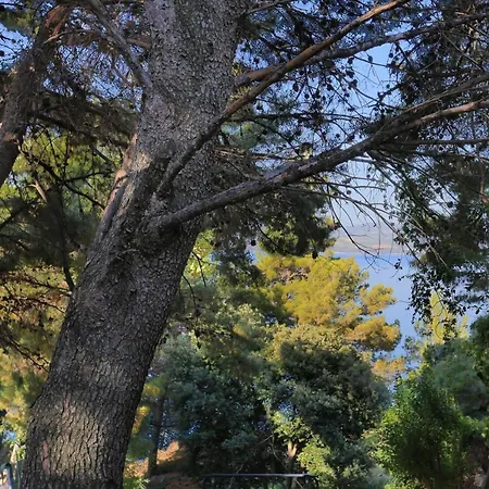 Apartman Balica Rat 1065a *